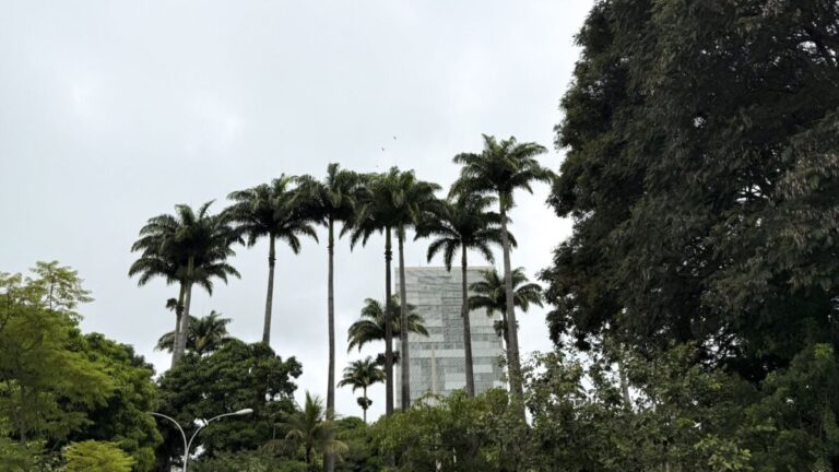 Fachada do Congresso Nacional, em Brasília, com as duas torres, as cúpulas e o gramado em primeiro plano