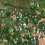 Imagem de satélite de lavouras em Chapadão do Céu, em Goiás, com campos verdes e áreas de solo exposto