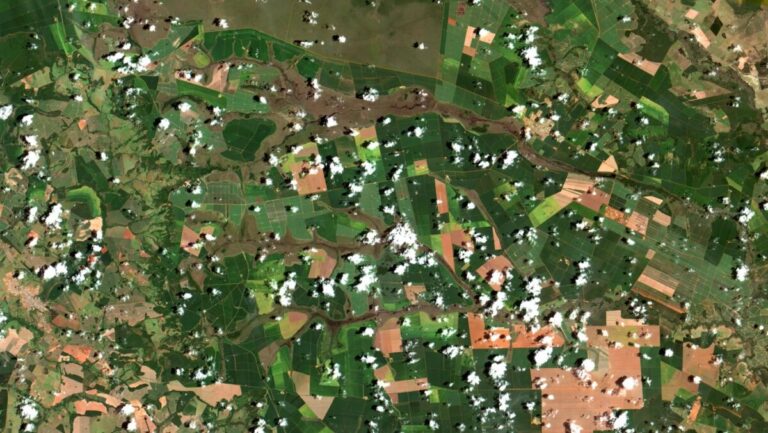 Imagem de satélite de lavouras em Chapadão do Céu, em Goiás, com campos verdes e áreas de solo exposto