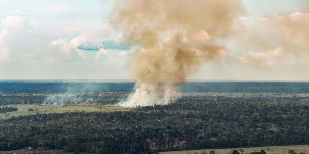 Coluna de fumaça marrom subindo de uma queimada em uma área de floresta, vista de cima