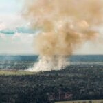 Coluna de fumaça marrom subindo de uma queimada em uma área de floresta, vista de cima