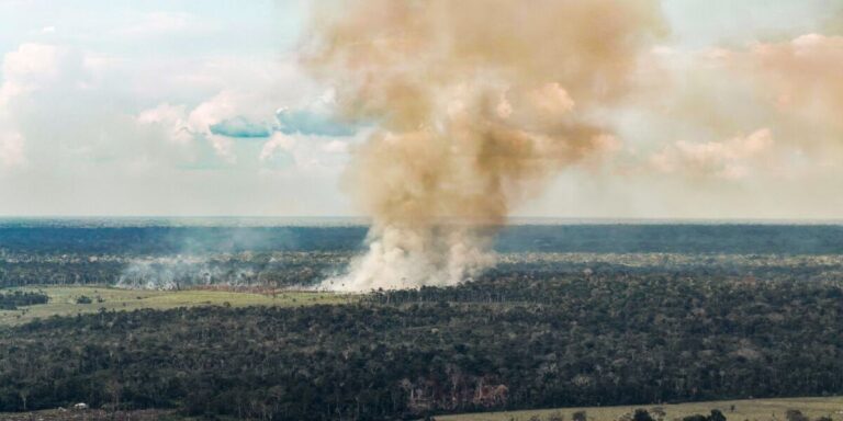 Coluna de fumaça marrom subindo de uma queimada em uma área de floresta, vista de cima